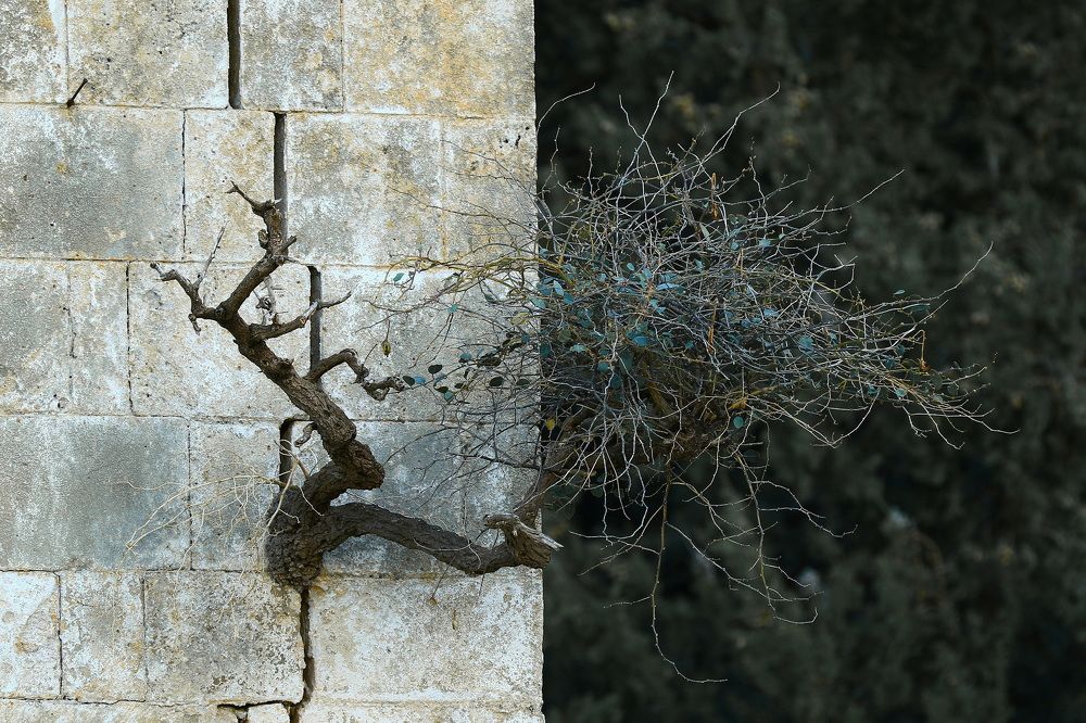 Photograph by Baglar Hasan