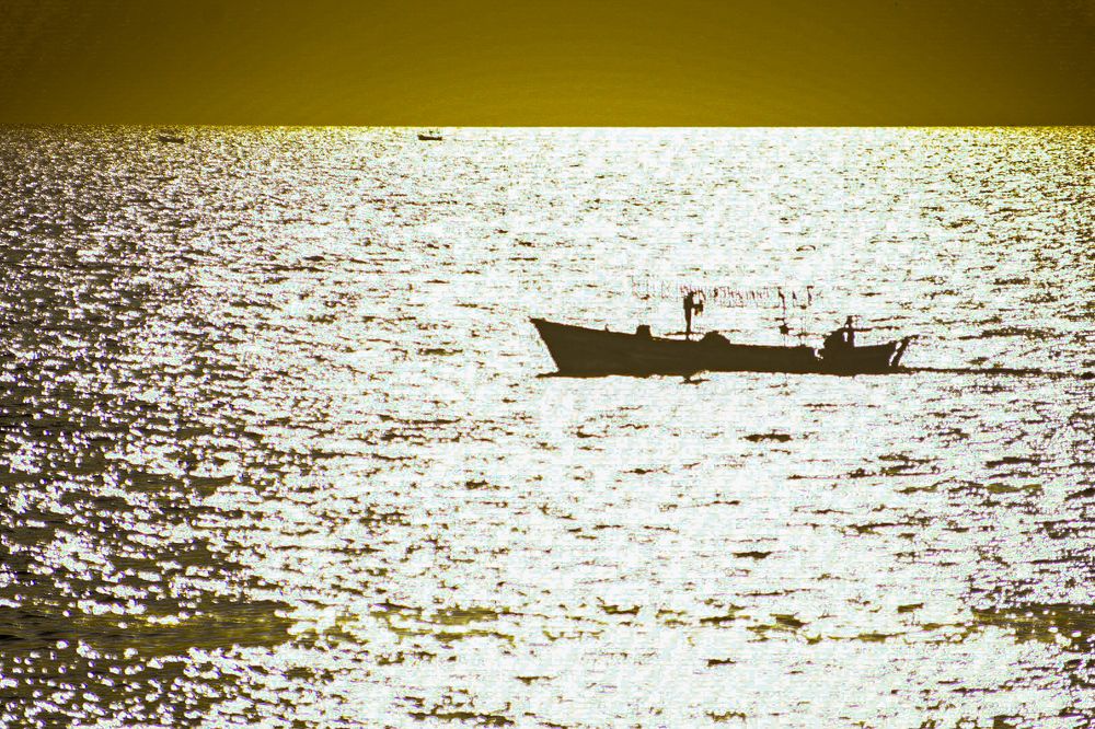 Фотография автора ABHISHEK SHAH