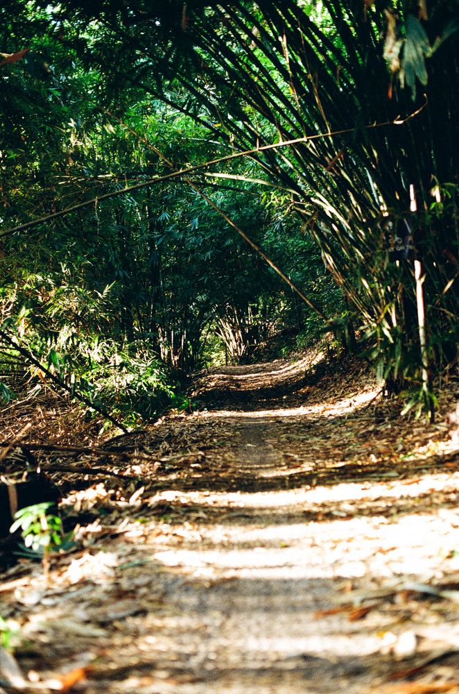 Фотография автора Lennis Yong