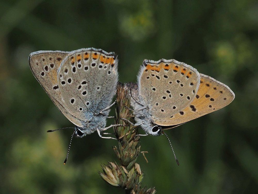 Photograph by Сергей Духанин
