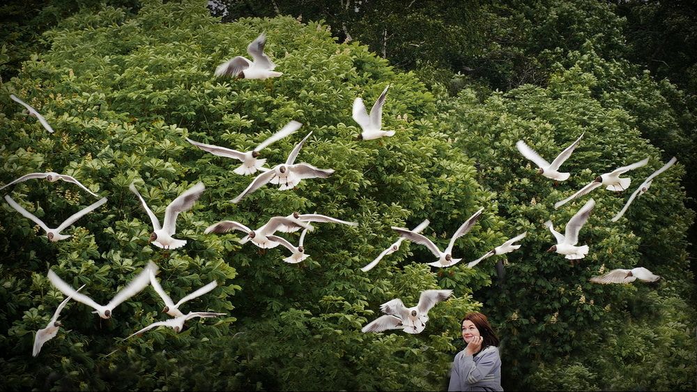 Фотография автора Анатолий Дауров