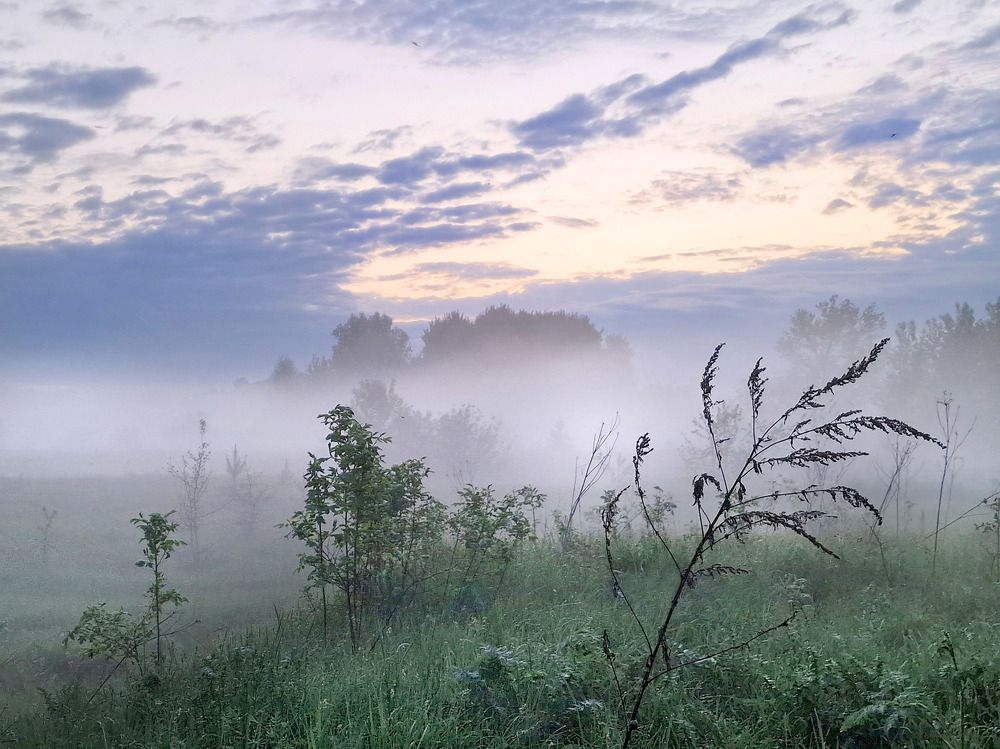 Photograph by Филипп Григорьев