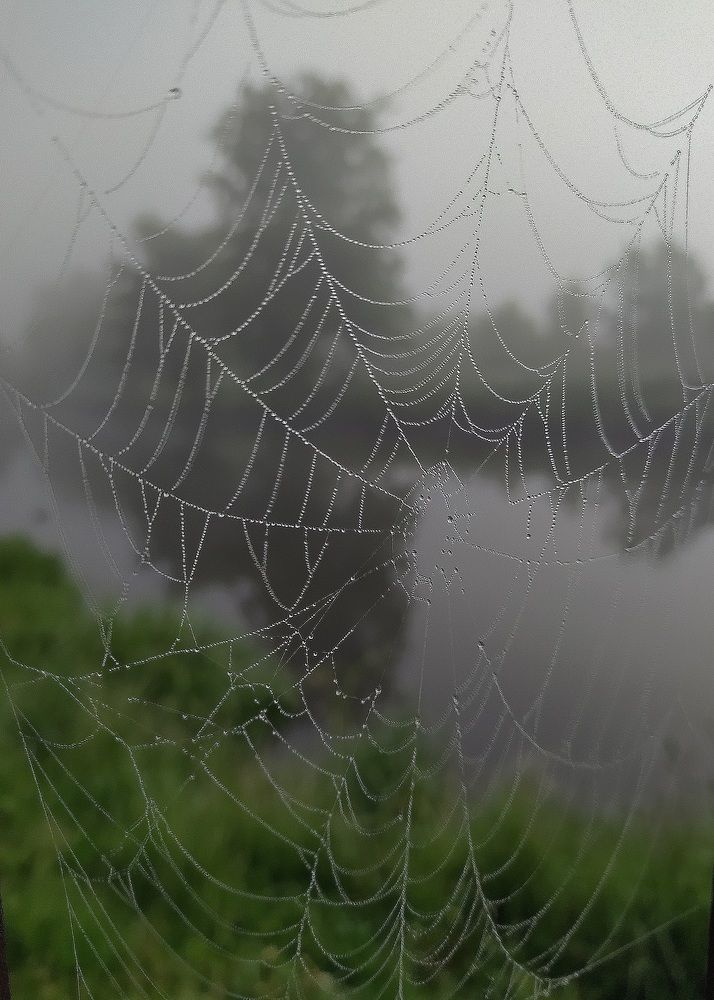 Photograph by Maryna Kukhtsikava