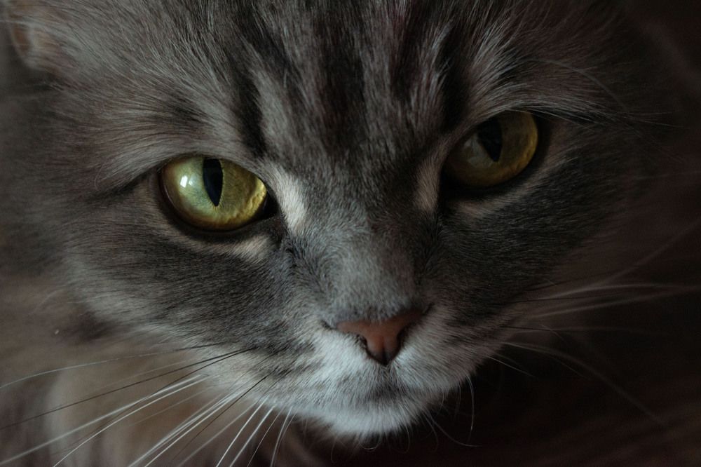 Photograph by Наталья Петрова