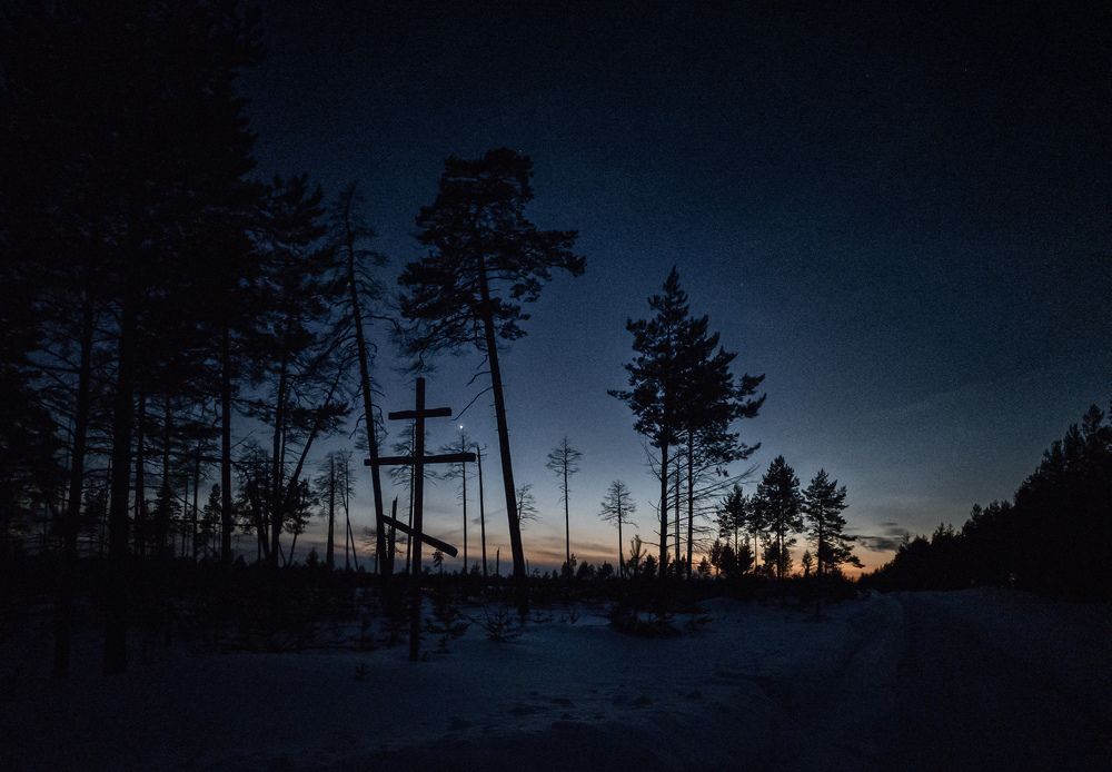 Photo #8870343
