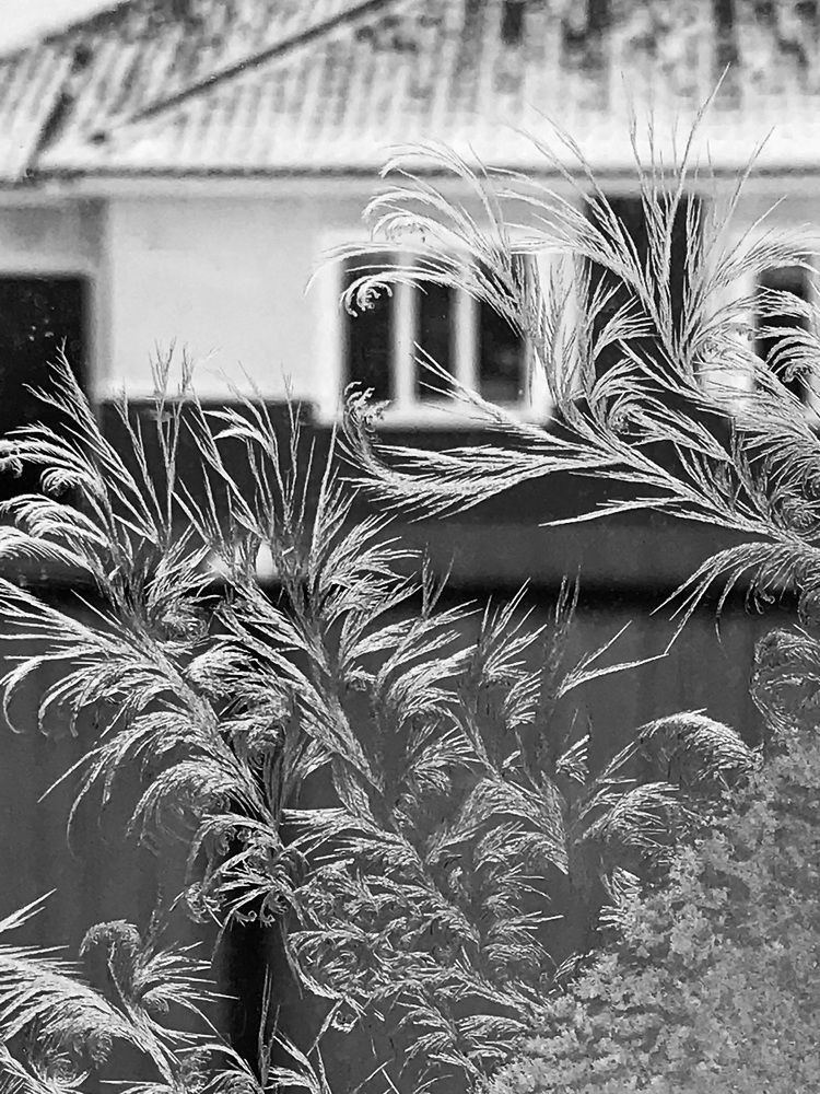 Photograph by Наталья Перерва