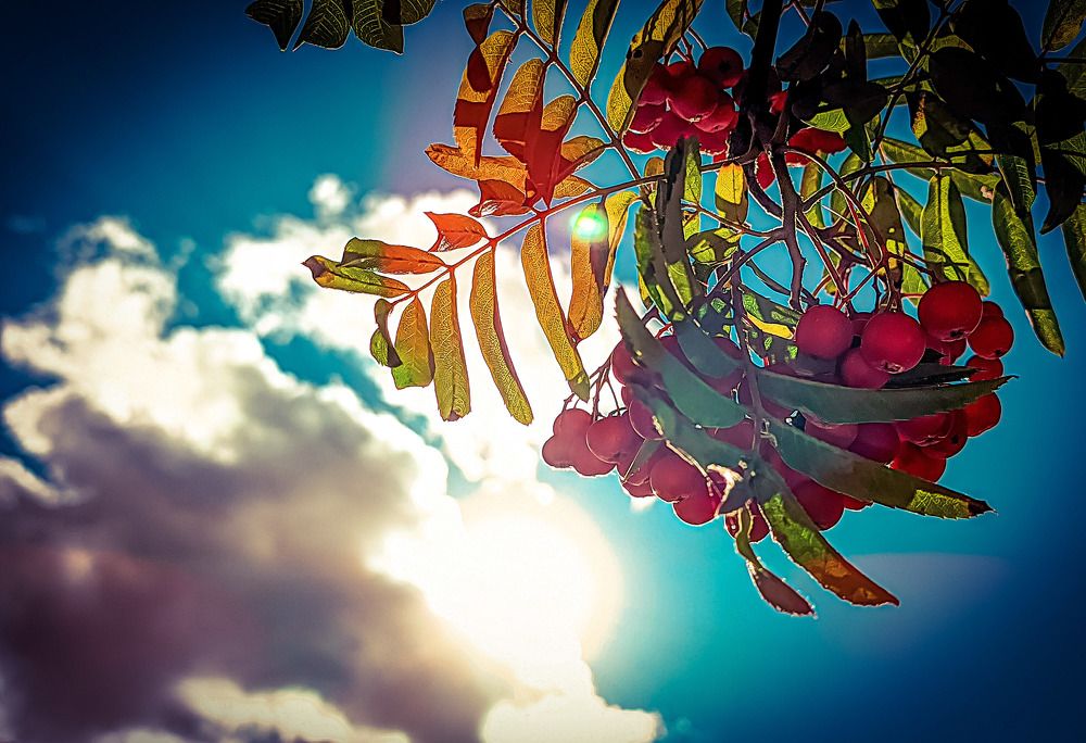 Photograph by Николай Яковлев