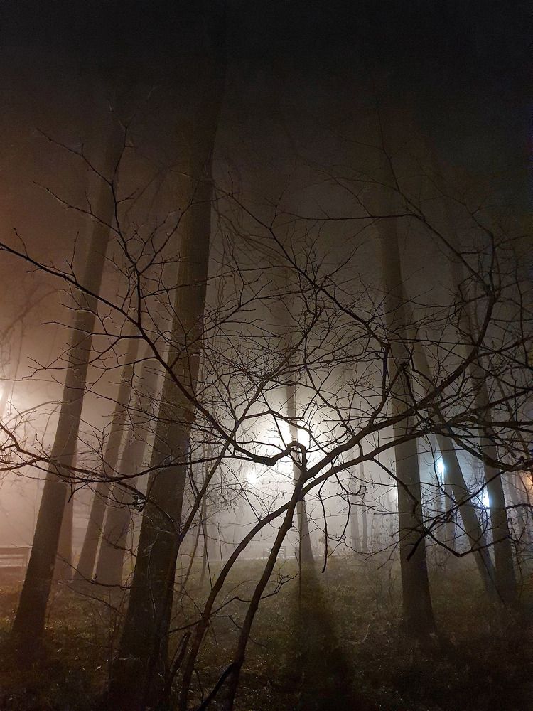 Photograph by Филипп Григорьев