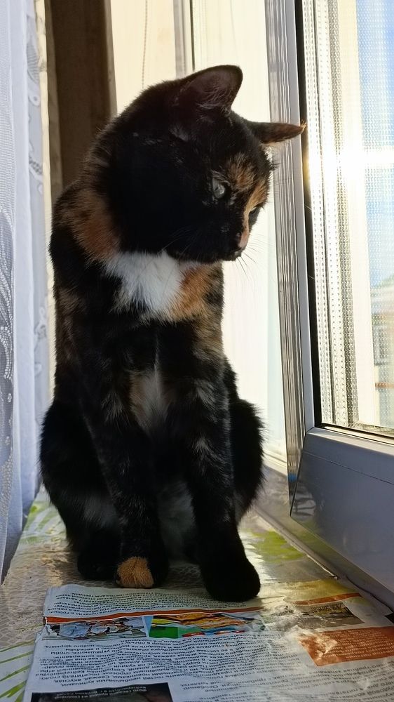 Как интересно за окном