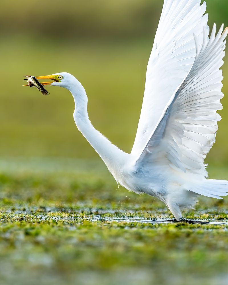 Фотография автора Sandip Mondal