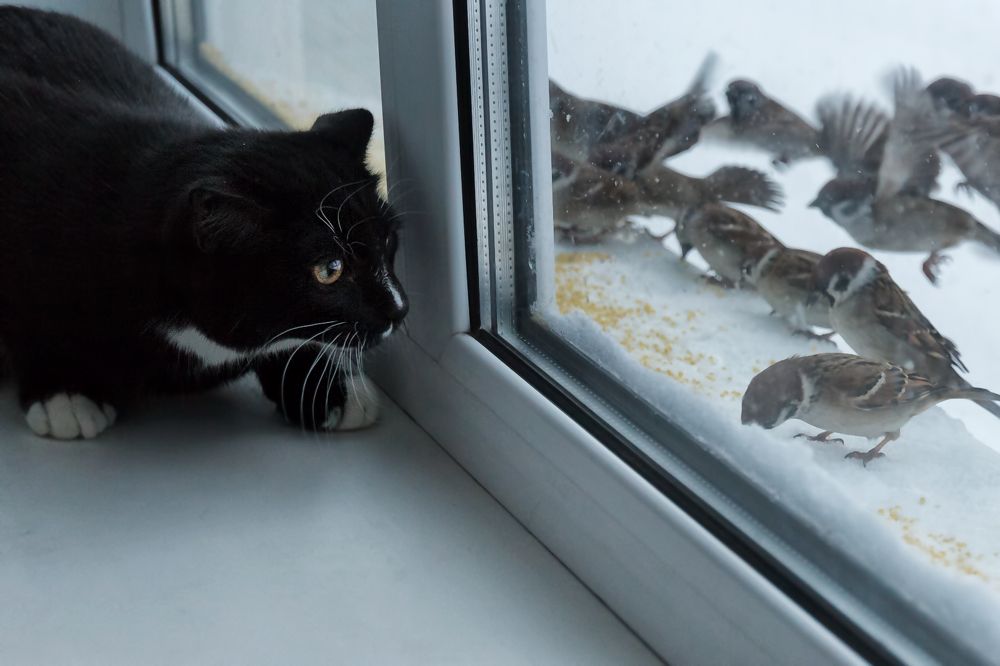 Photograph by Геннадий Теплицкий