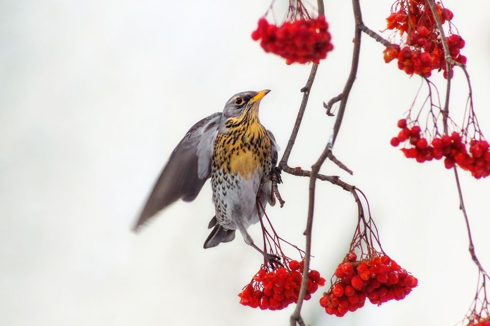 Photograph by Александр Канцур