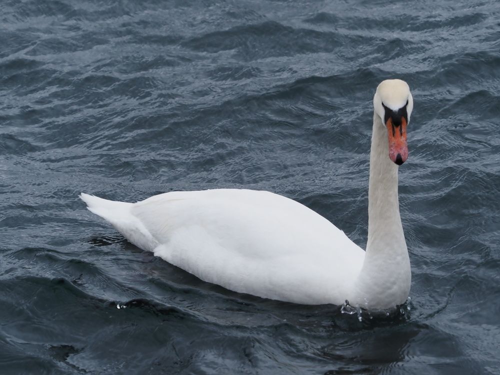 Photograph by Сергей Борисов