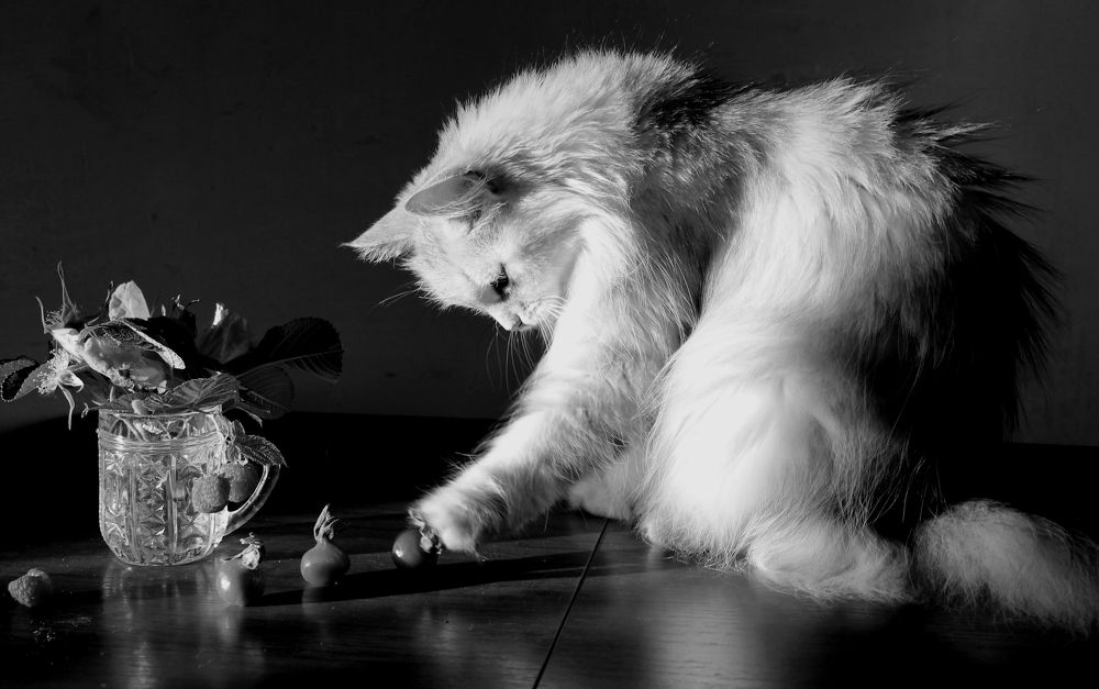 Photograph by Зоя Быкова