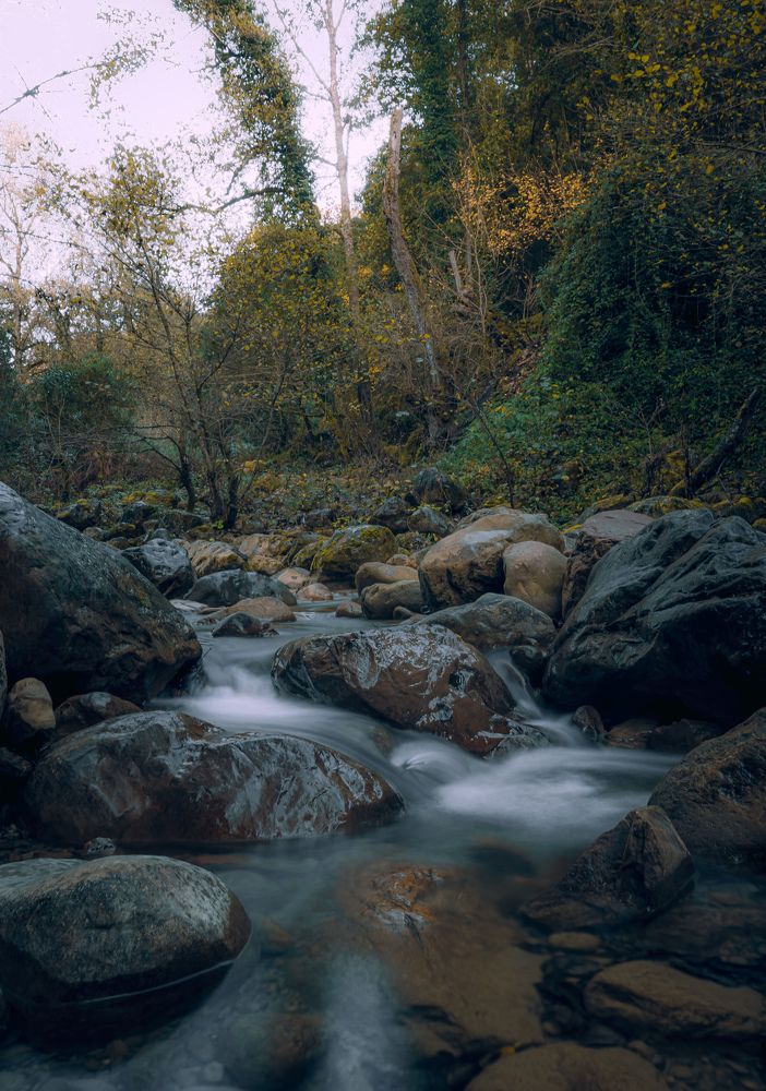 Photograph by Samir Meftah