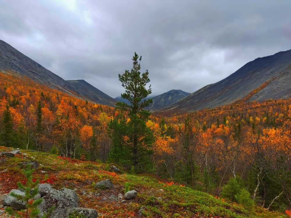 Прекрасные Хибины