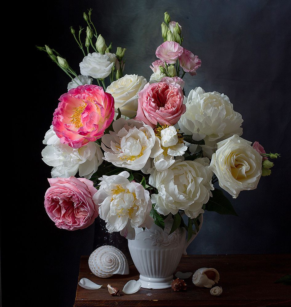 Фотография автора Алина Ланкина