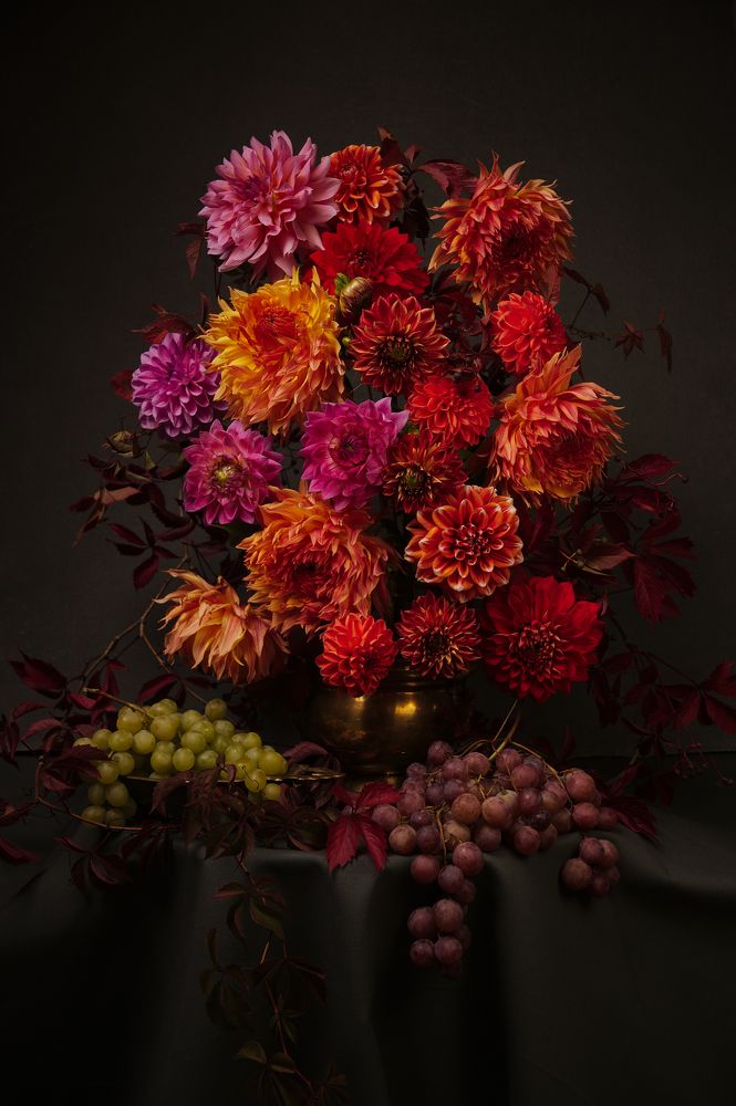 Фотография автора Marina Krasovska