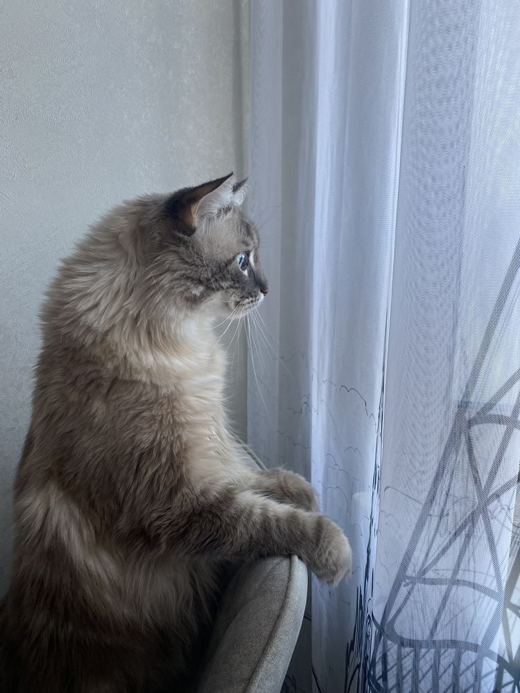 Photograph by Юлия Соколова