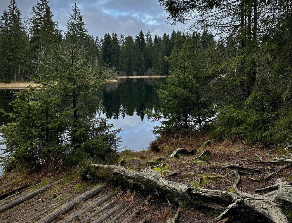 Photograph by Малика Маткарим