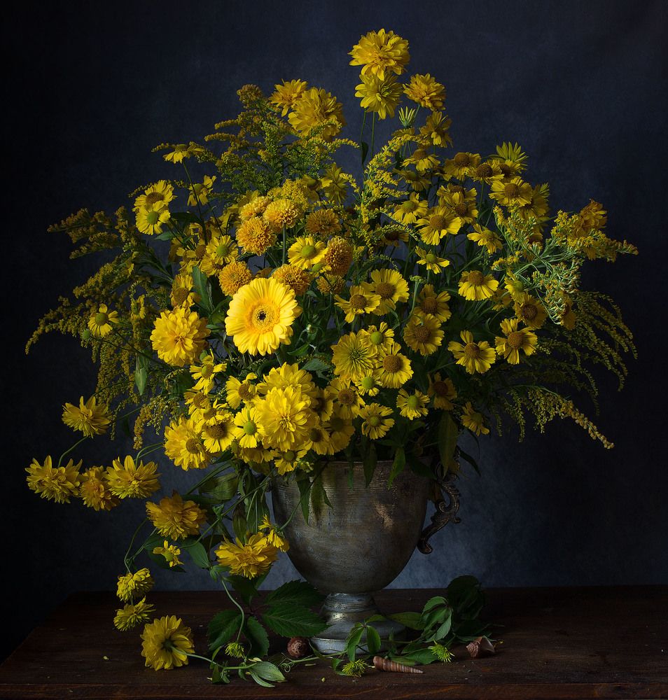 Фотография автора Алина Ланкина