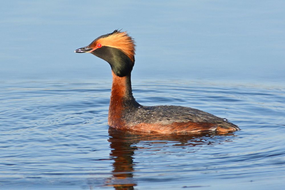 Photograph by Владислав Иопек