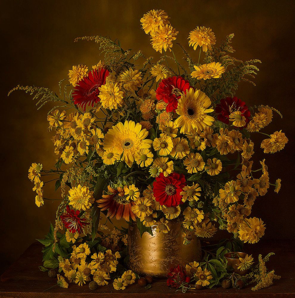 Фотография автора Алина Ланкина