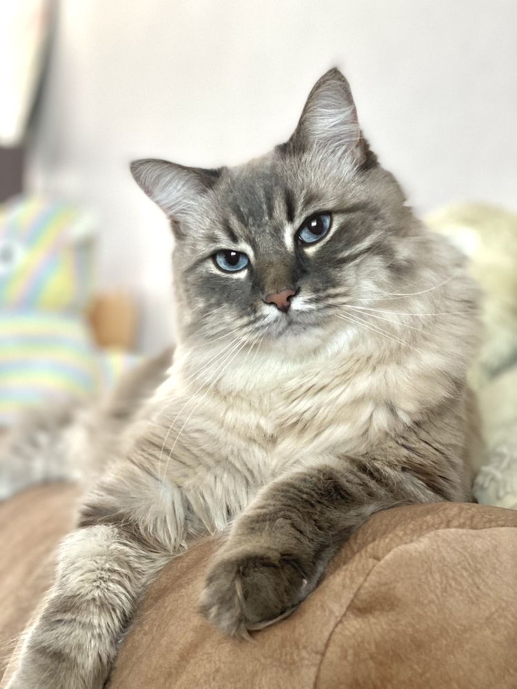 Photograph by Юлия Соколова