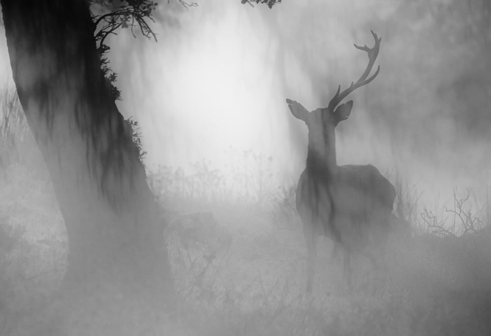 Perfección imperfecta