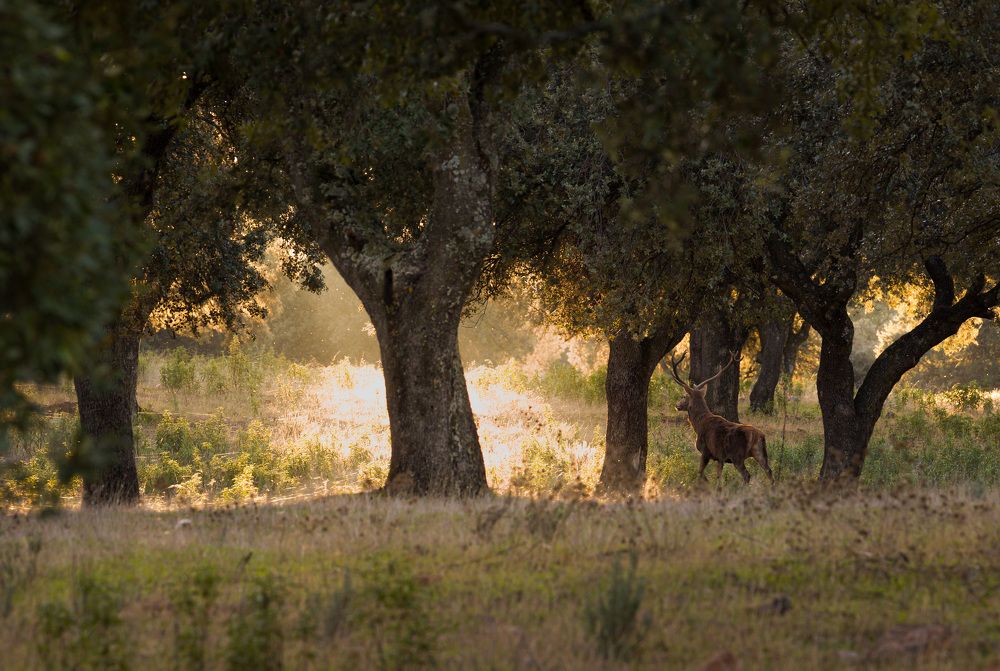 Photograph by Jose luis trujillo