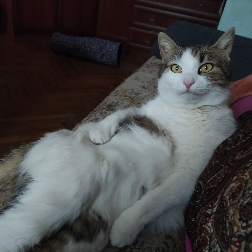 Photograph by Татьяна Перепелкина