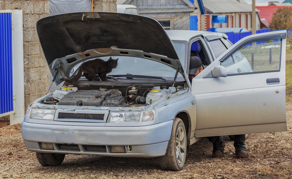 Фотография автора Рамиль Фаттахов