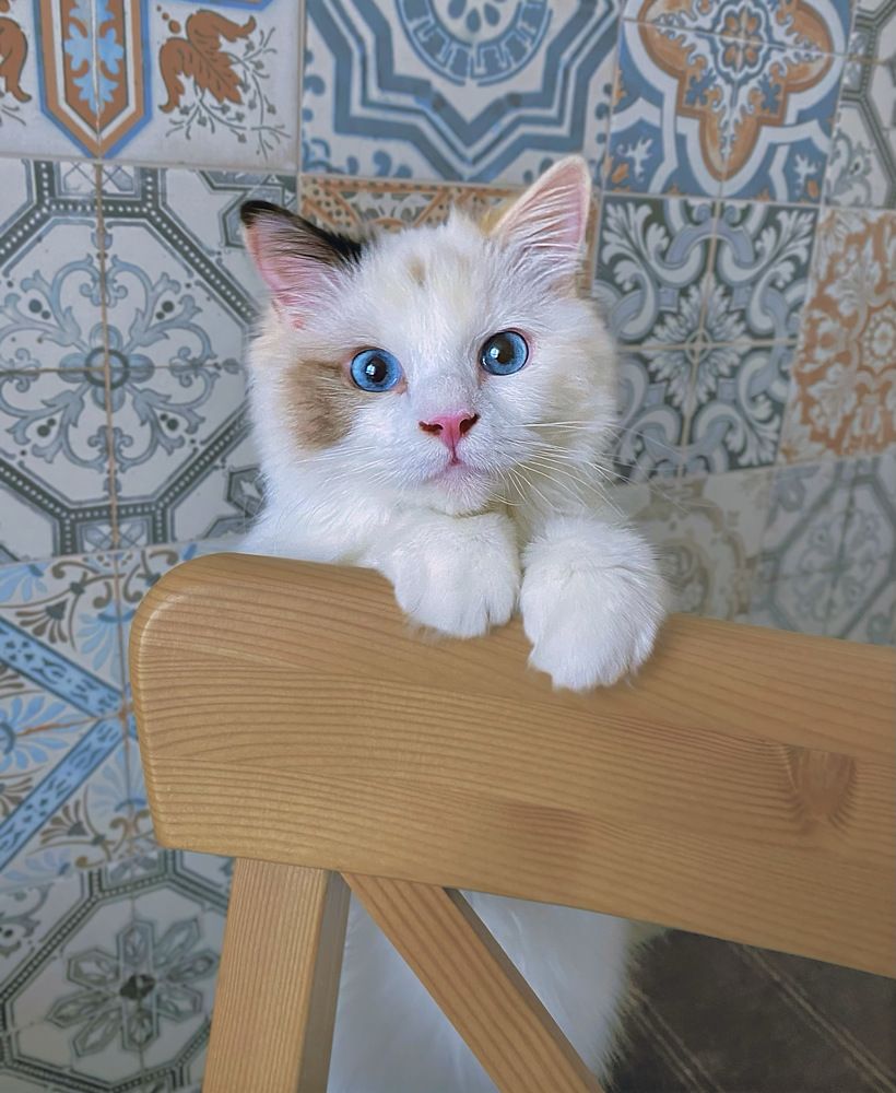 Photograph by Ксения Орлова