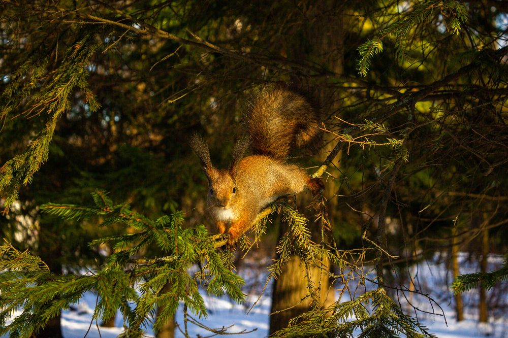 Фотография автора Таисия