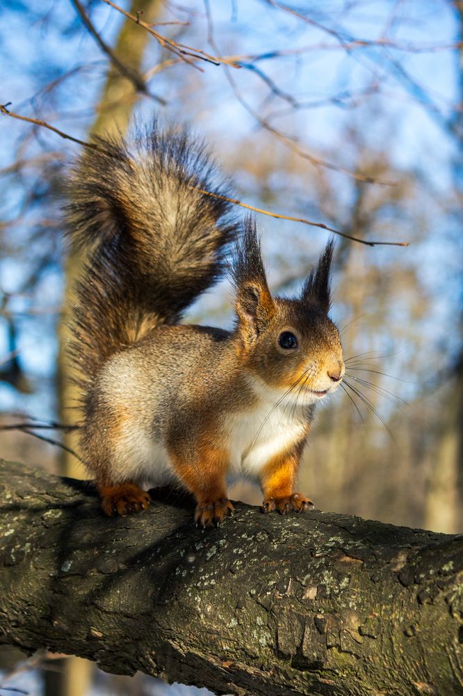 Фотография автора Таисия