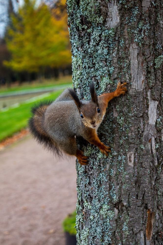 Фотография автора Таисия