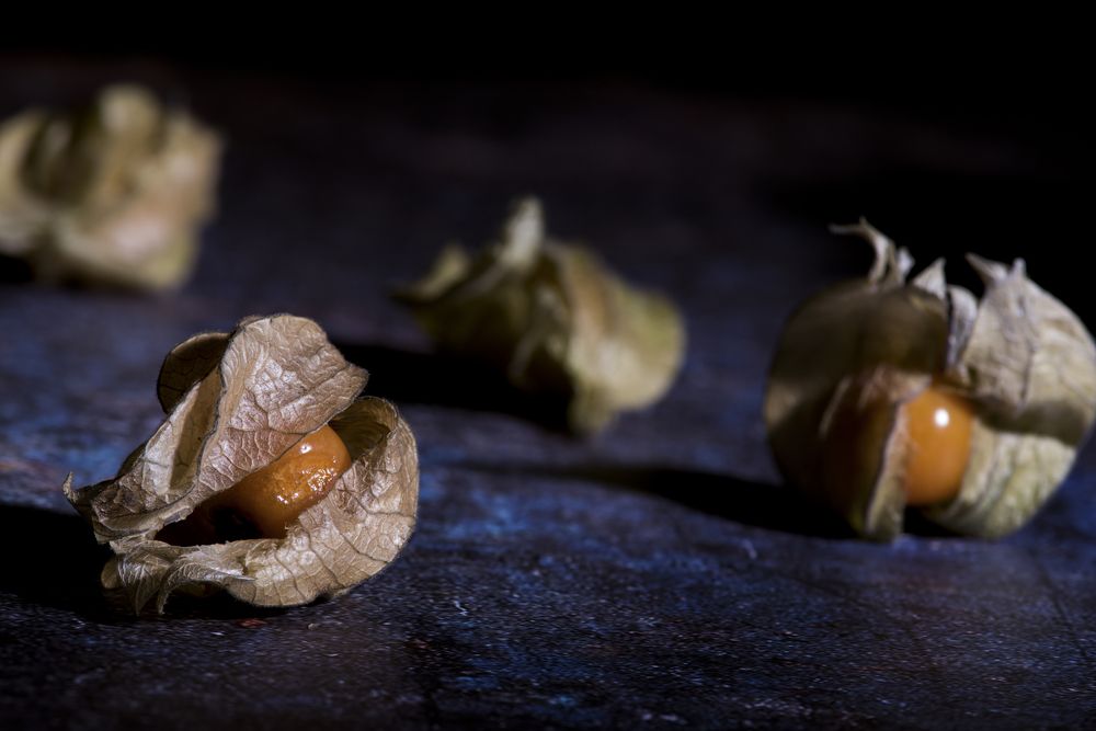 Photograph by Oleg Ki