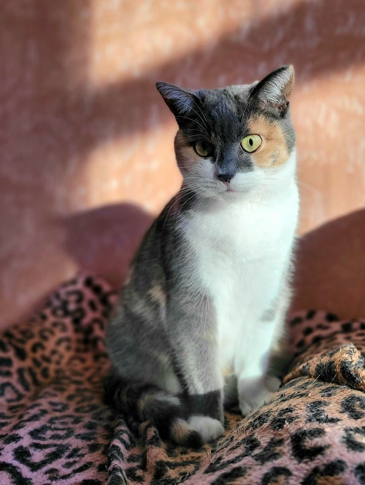 Photograph by Светлана Гаранина