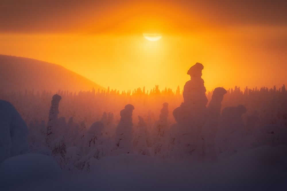 Photograph by Василий Яковлев