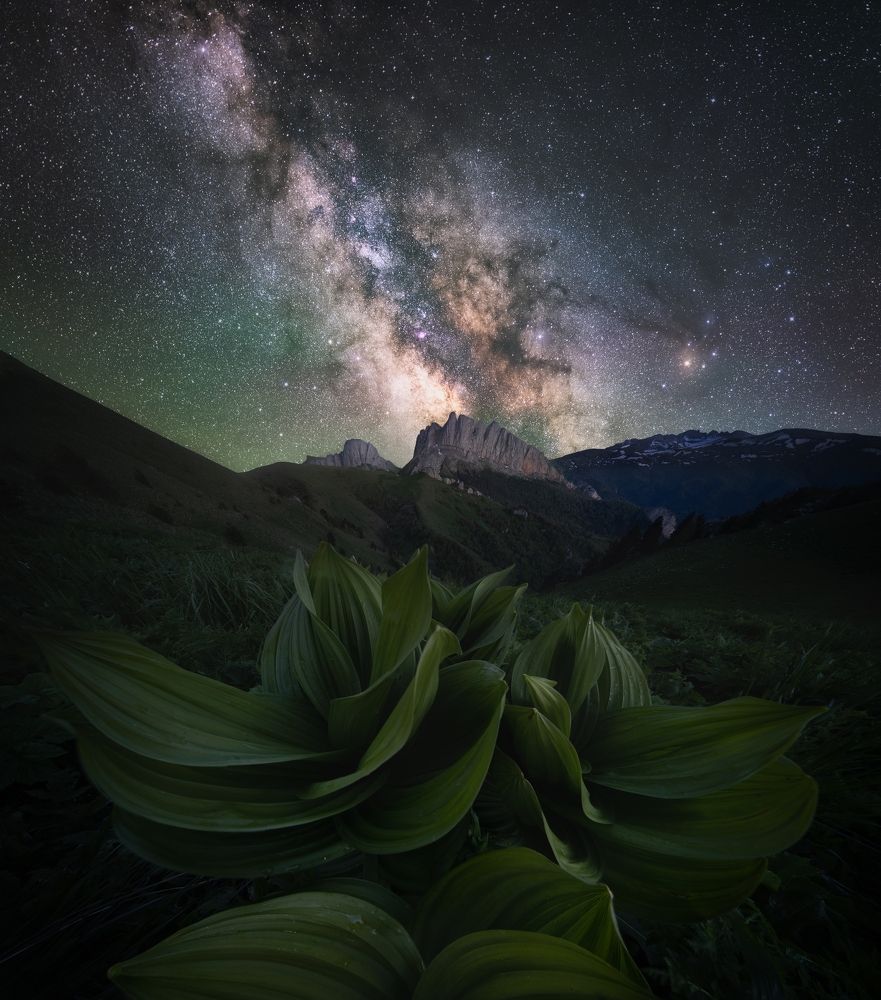 Photograph by Василий Яковлев