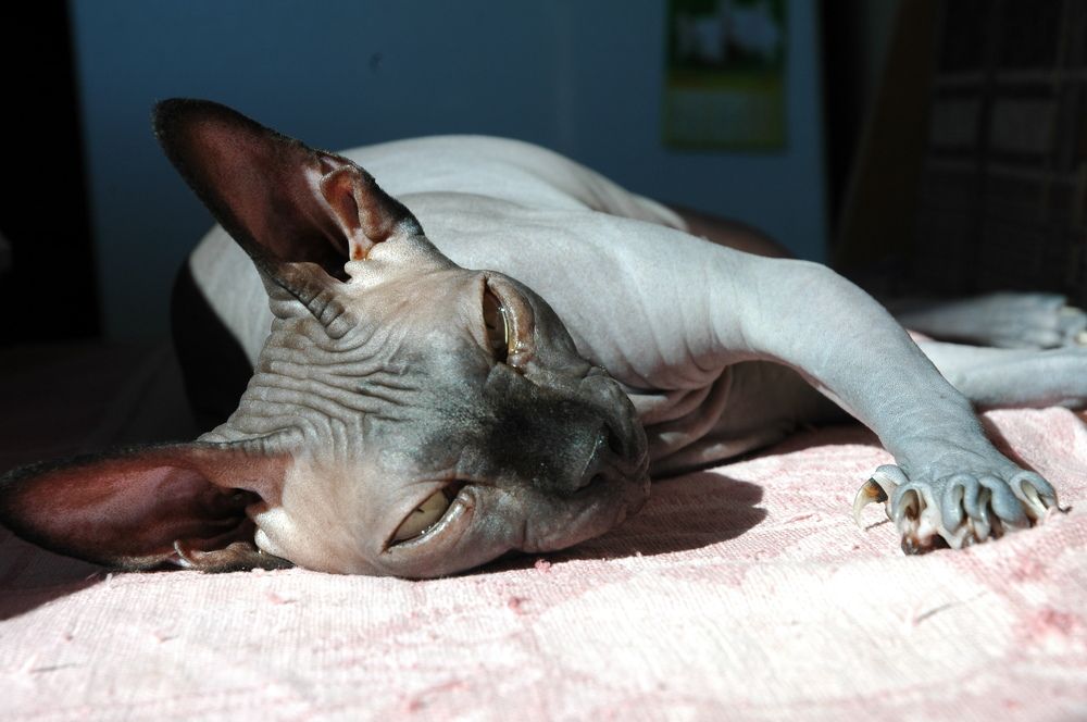 Photograph by Андрей Головин