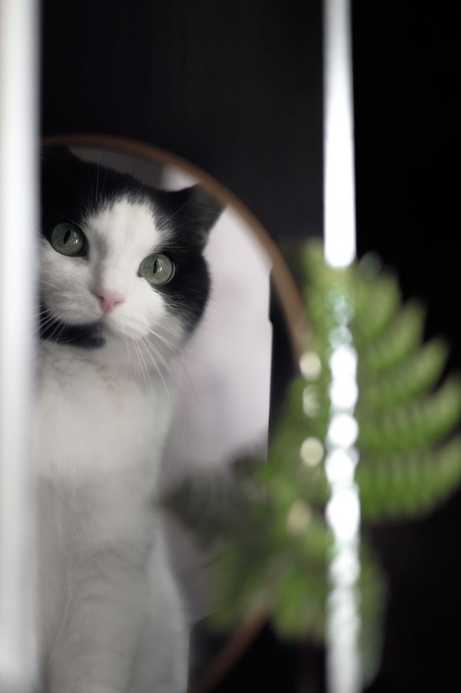 Photograph by Ольга Казакова