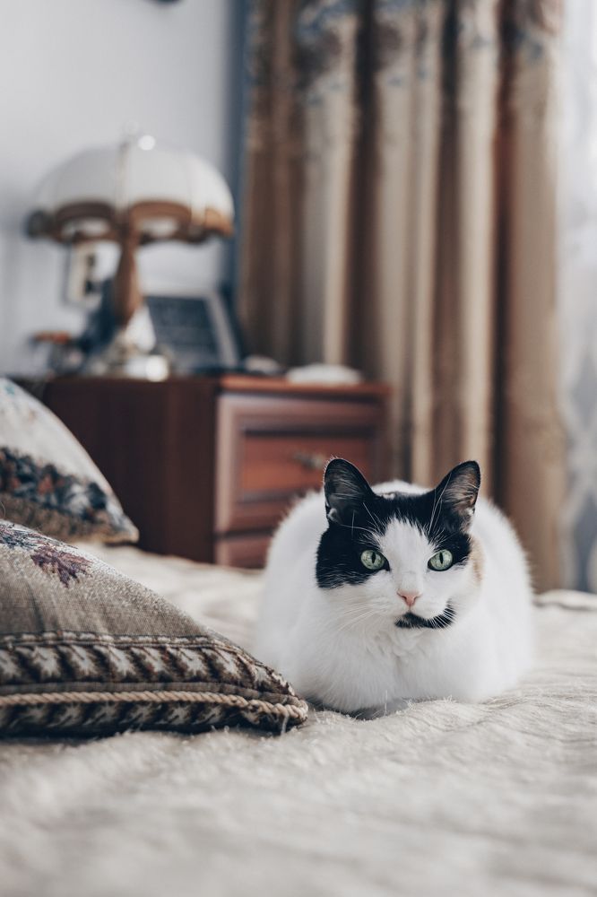 Photograph by Ольга Казакова