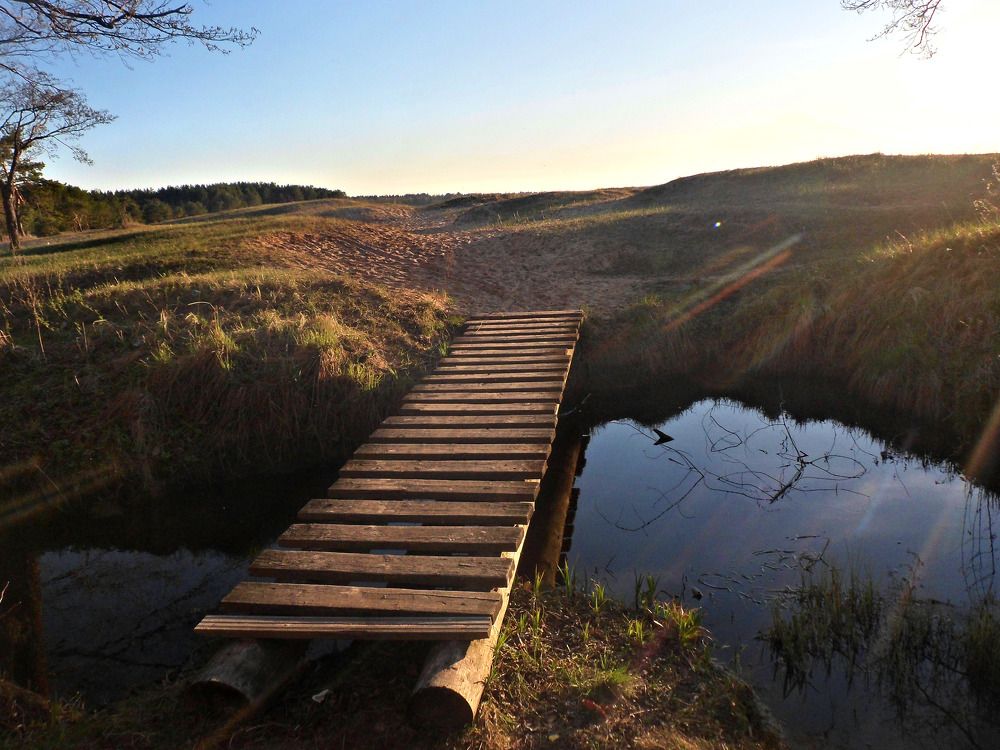 Photograph by Маша Худякова