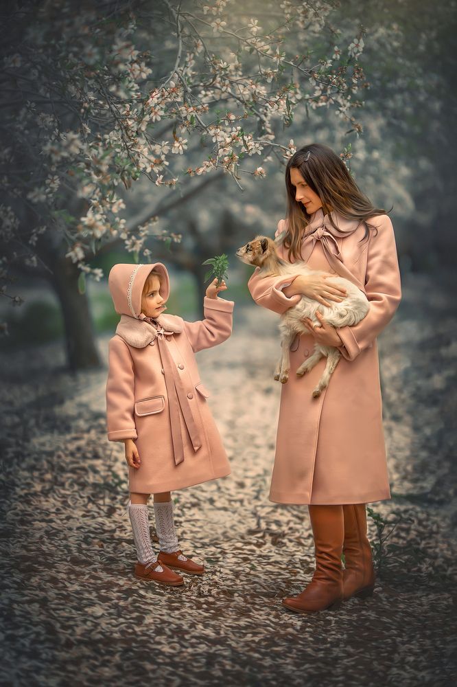 Photograph by yarden kaplan