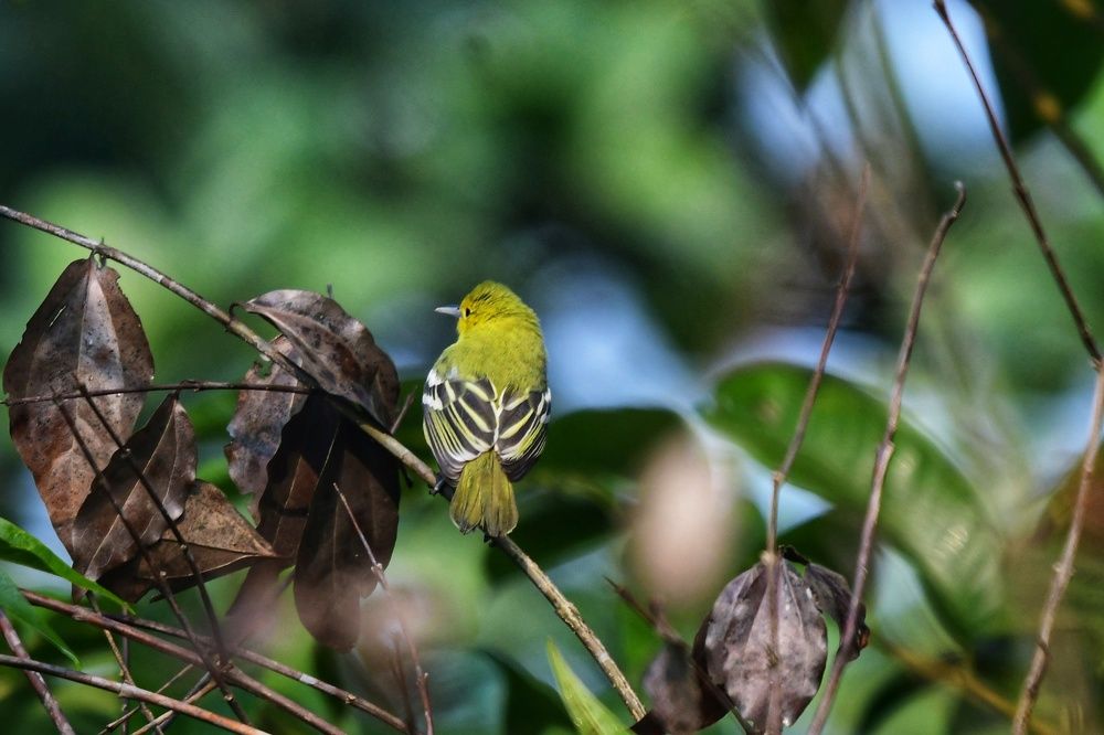 Photograph by Sarbani Chakraborty
