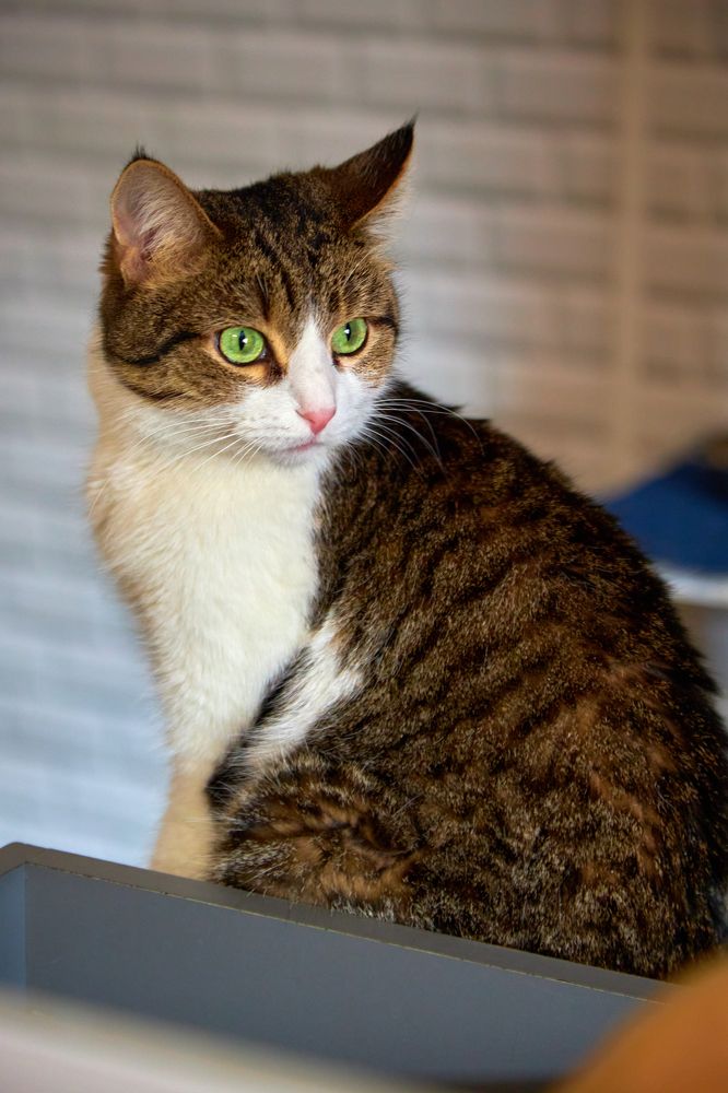 Photograph by Игорь Федянин