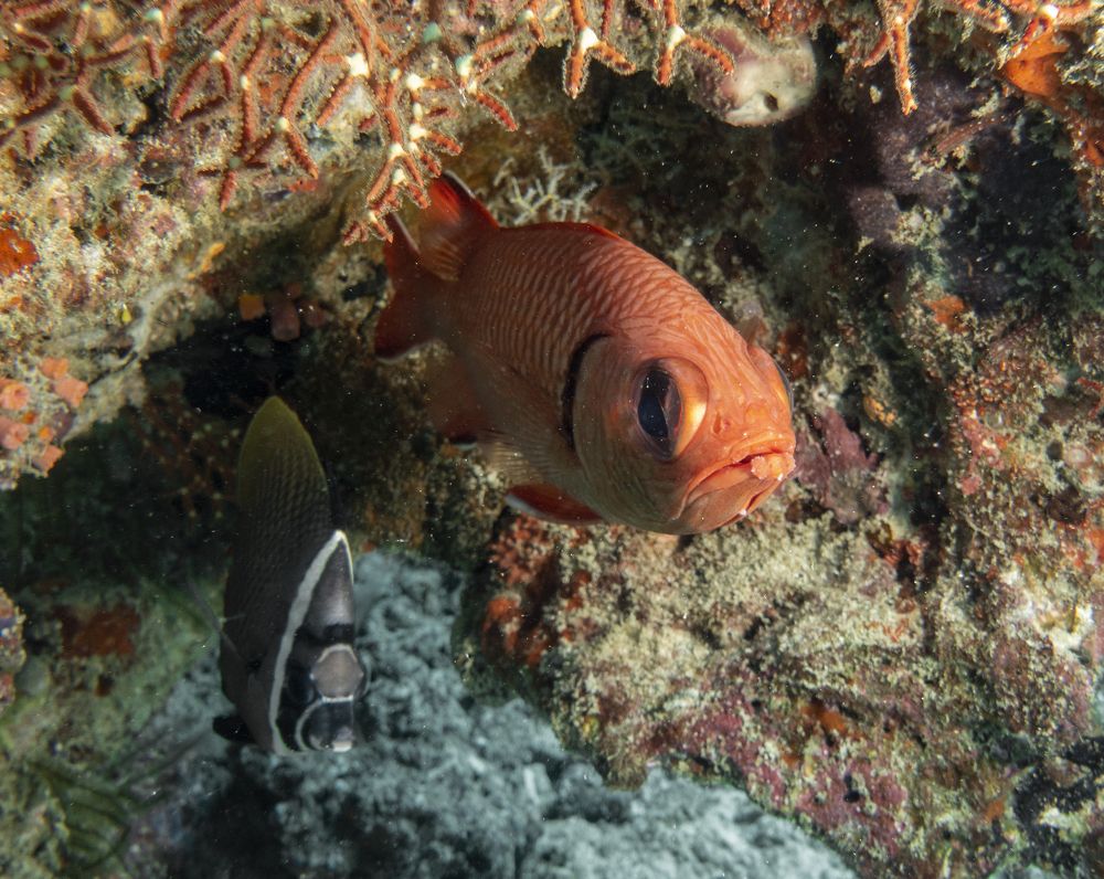 Photograph by Галина Михоношина