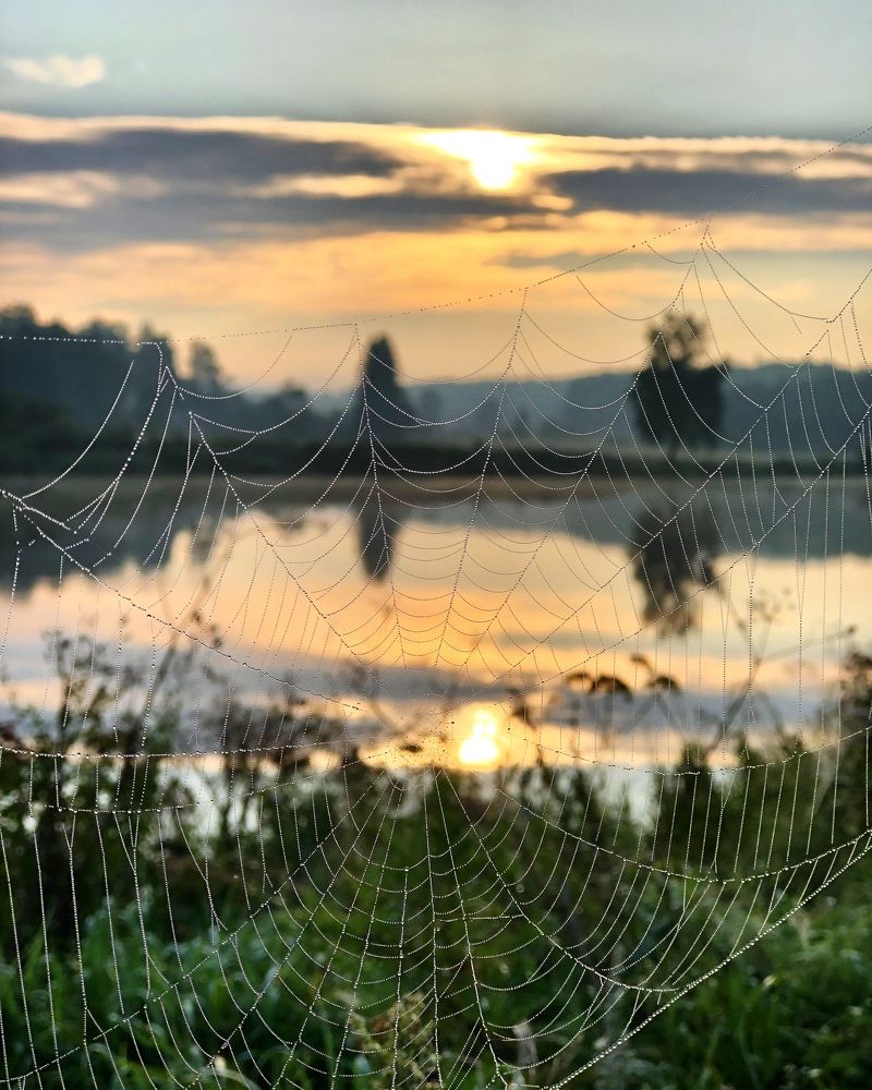 Photograph by Лариса Акинчиц