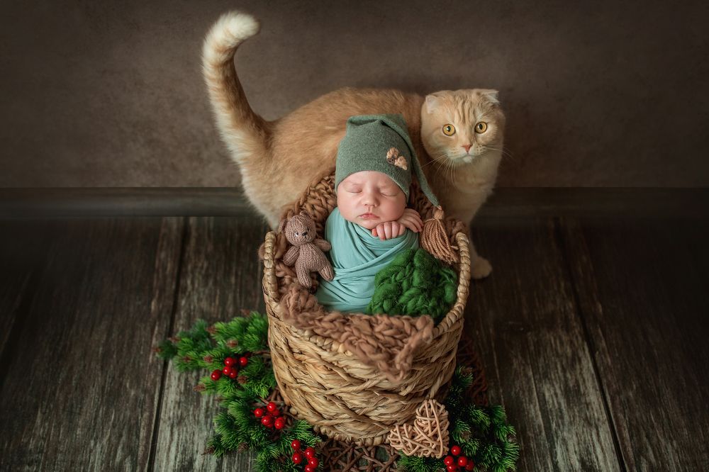 Photograph by Юлия Джиоева